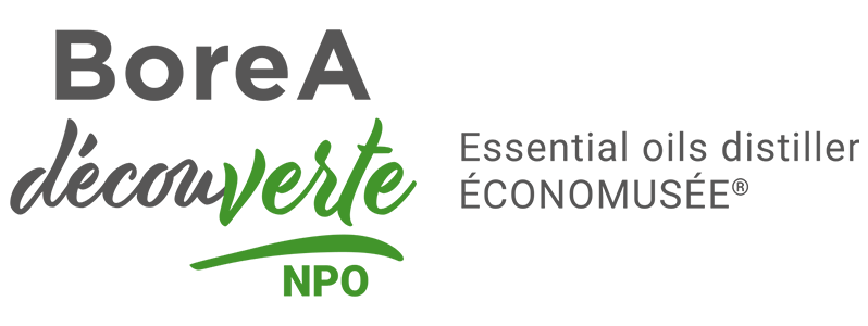 BoreA DécouVERTE logo