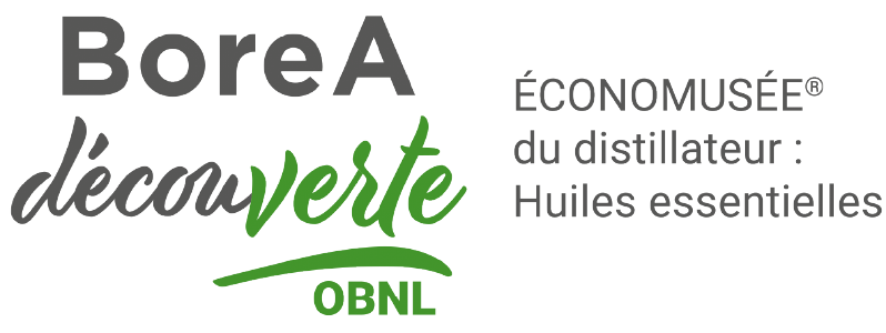 Logo de borea decouverte
